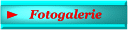 Fotogalerie