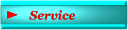 Service